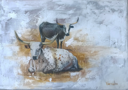 Nguni II — Resting Pair