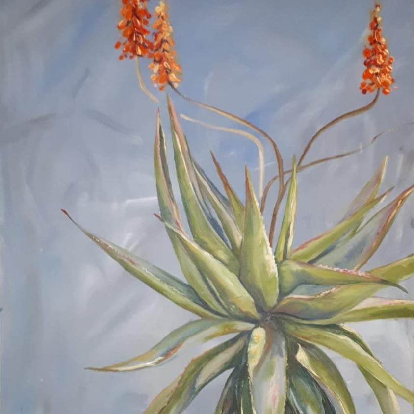Aloe on Blue