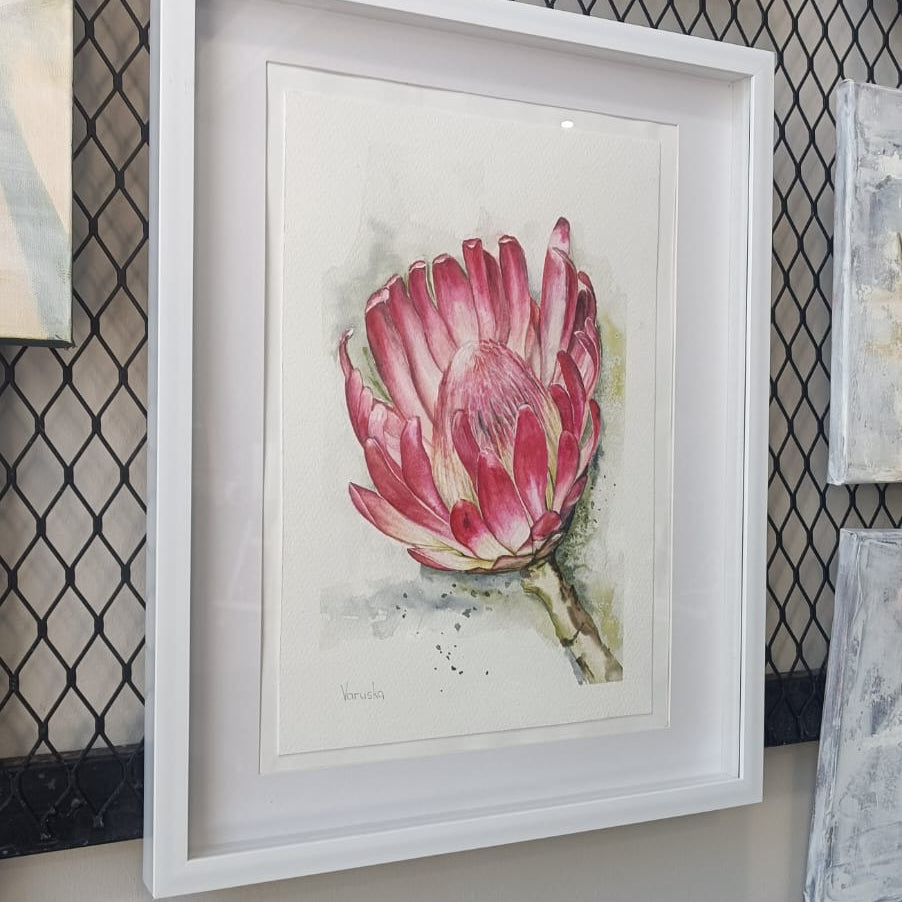 PROTEA in Watercolour Workshop - Saturday, 20 June