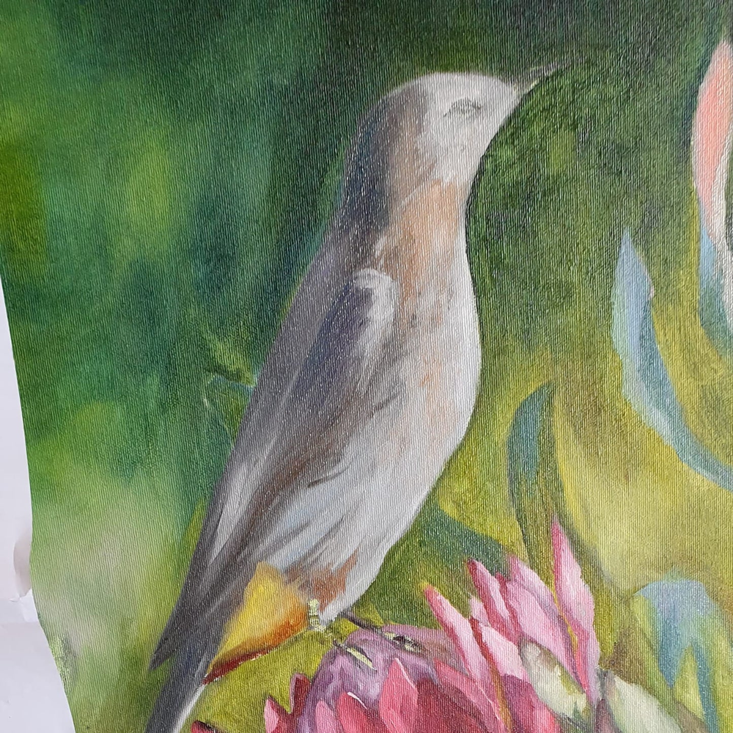 Protea and bird