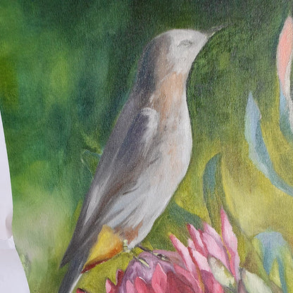 Protea and bird