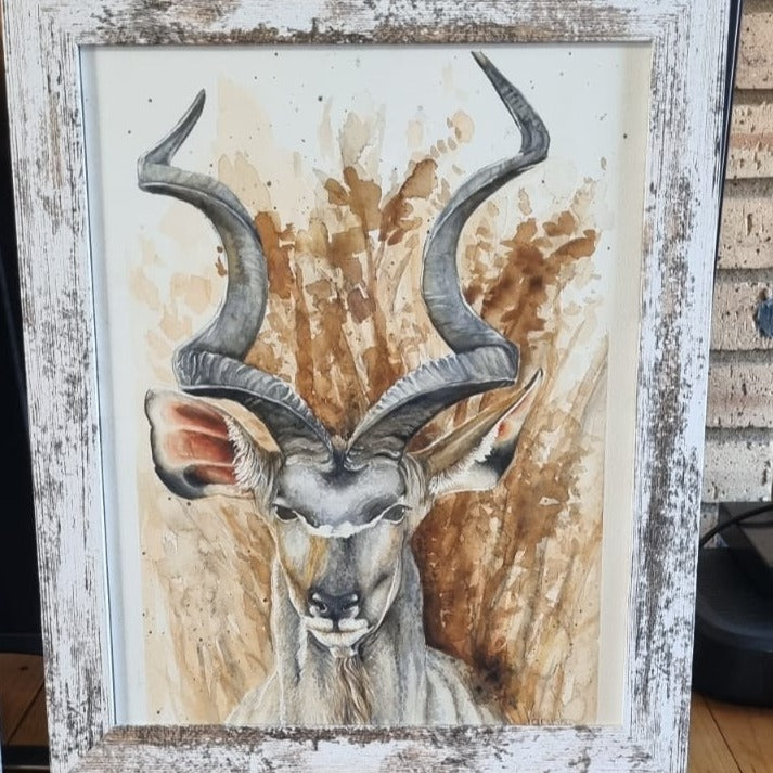 Koedoe Watercolour