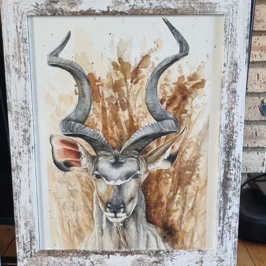 Koedoe Watercolour