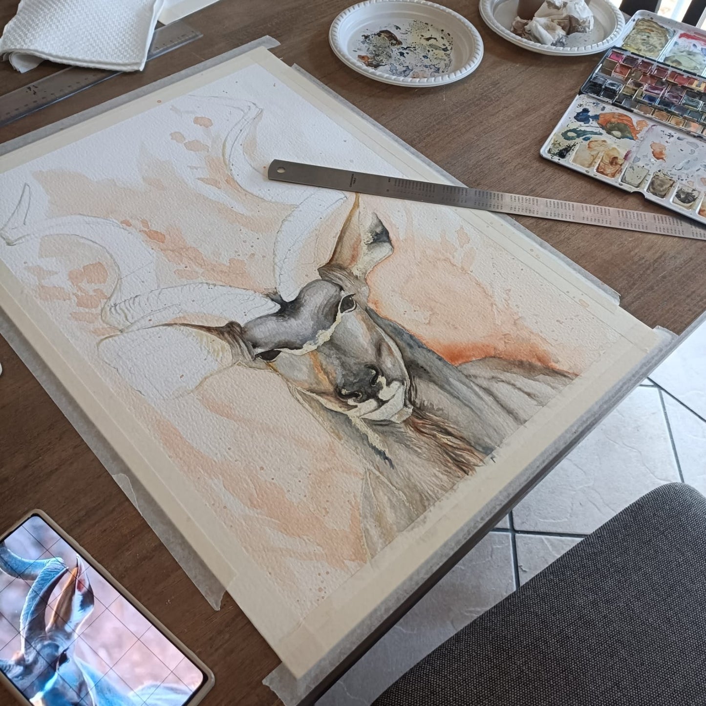 Koedoe Watercolour