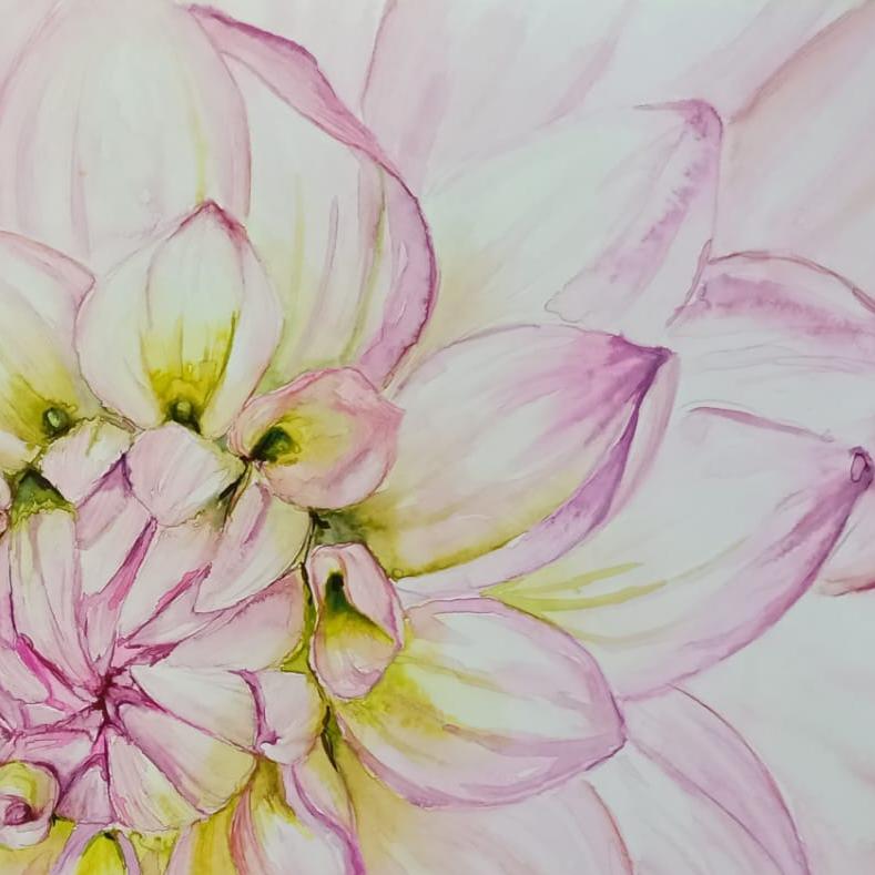 Abundance