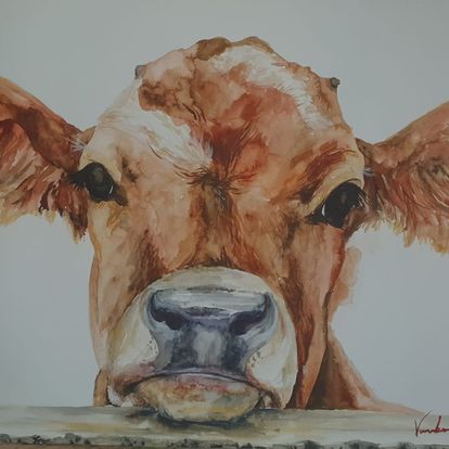 Calf
