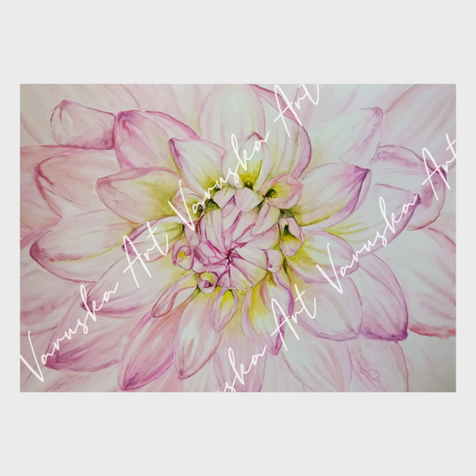 Abundance
