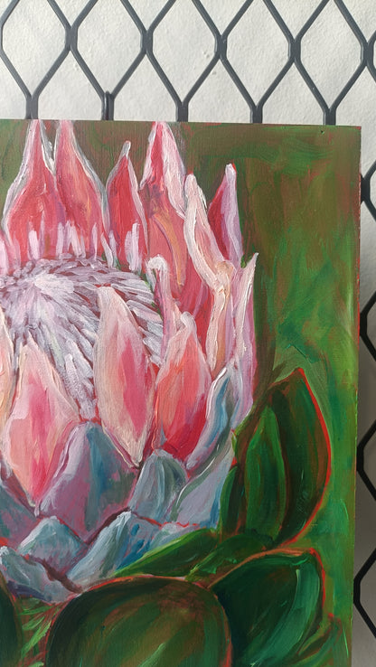 Protea