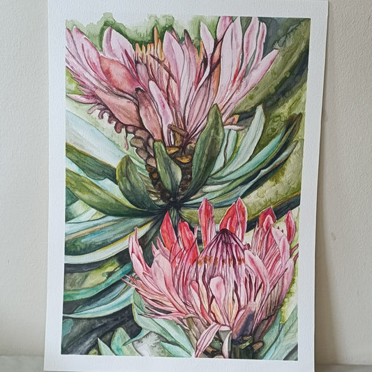Protea Watercolour