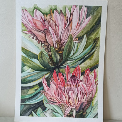 Two Protea Fine Art Print