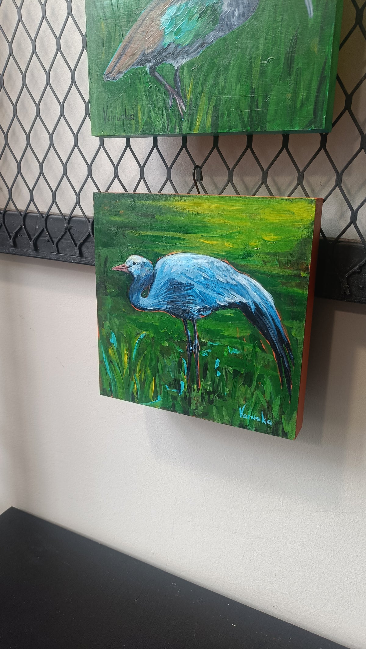 Blue crane