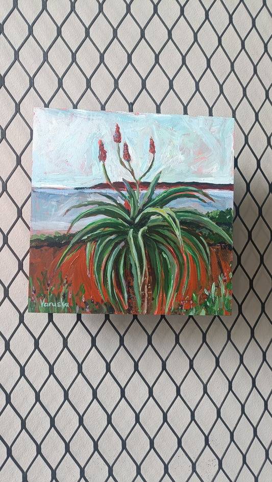 Aloe