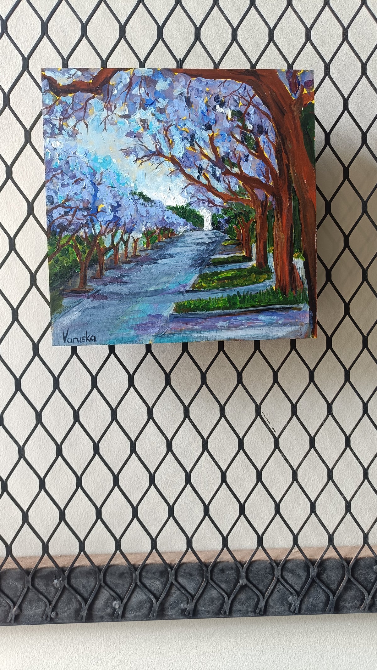 Jacarandas