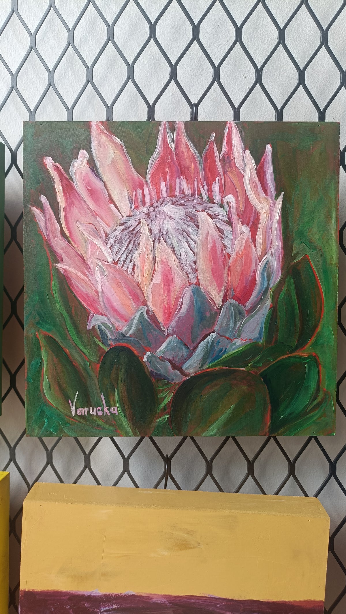 Protea