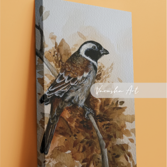 Cape Swallow Canvas Print